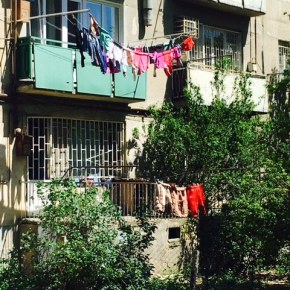 some things i saw coming home from&nbsp;school…